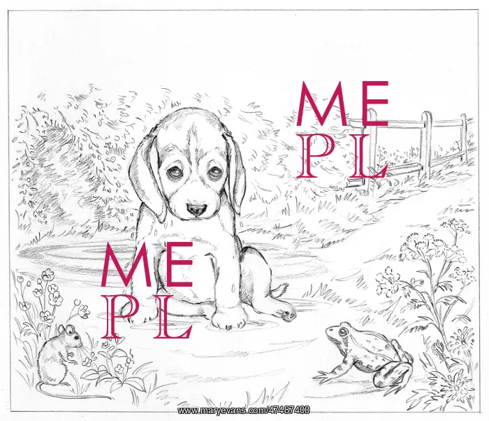 : Biddy Finds a Hare : Biddy Finds a Hare