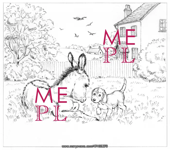 : Biddy Finds a Hare : Biddy Finds a Hare