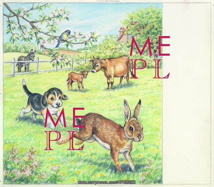 : Biddy Finds a Hare : Biddy Finds a Hare