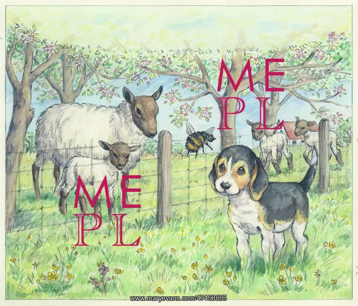 : Biddy Finds a Hare : Biddy Finds a Hare