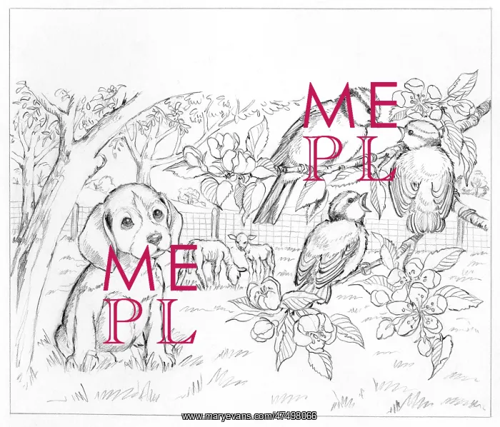 : Biddy Finds a Hare : Biddy Finds a Hare