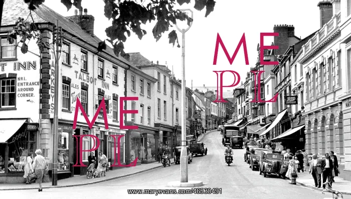  : Bideford, High Street 1953