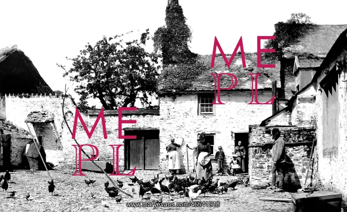  : Bideford, Old Ford Farm 1890