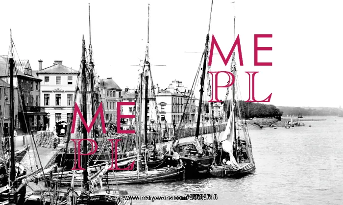  : Bideford, the Quay 1890