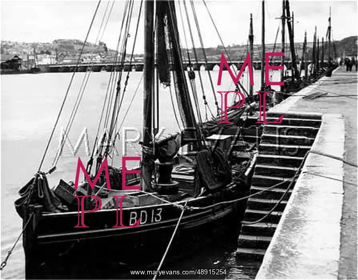 : BIDEFORD QUAY : BIDEFORD QUAY