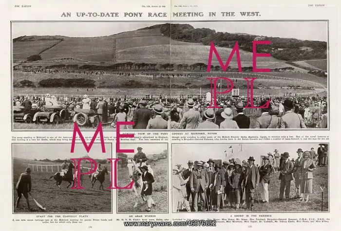 : Bideford racecourse : Bideford racecourse
