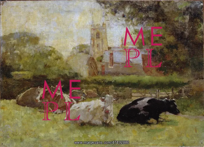 : Bidston Church ' with cows in a field : Bidston Church ' with cows in a field