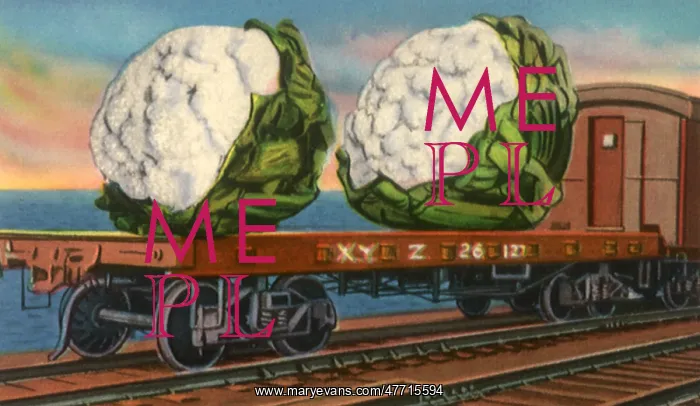 : Two Big Cauliflower Heads : Two Big Cauliflower Heads