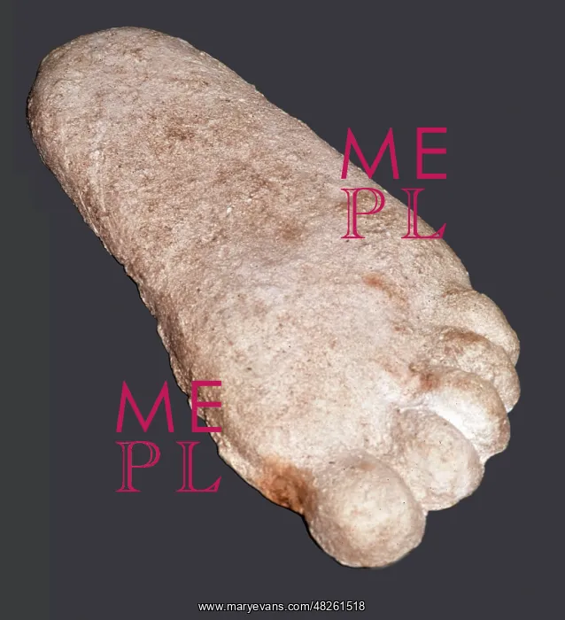 : Big Foot Footprint : Big Foot Footprint