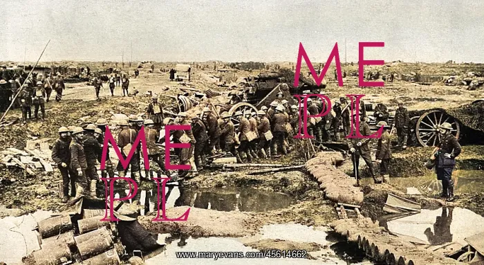 : Big gun going forward across waterlogged battle zone, WW1 : Big gun going forward across waterlogged battle zone, WW1