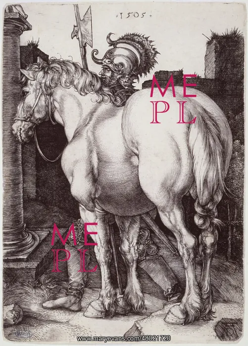: The big horse : The big horse