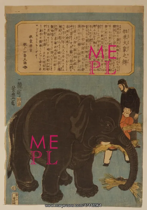  : Big imported elephant