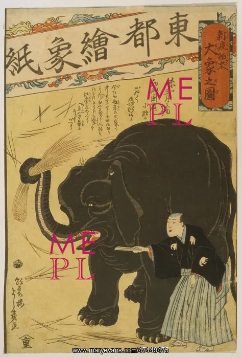  : Big imported elephant