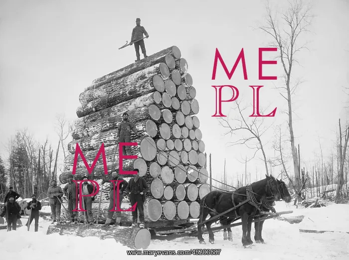 : Big load of logs on a horse drawn sled in ? : Big load of logs on a horse drawn sled in ?