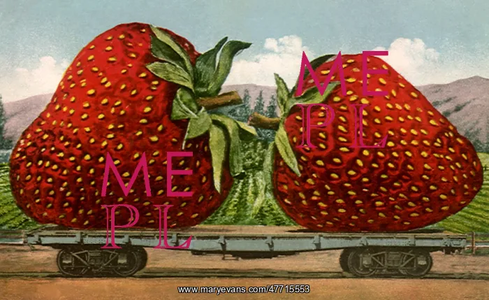 : Big Strawberries : Big Strawberries