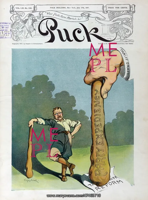 : The bigger stick : The bigger stick