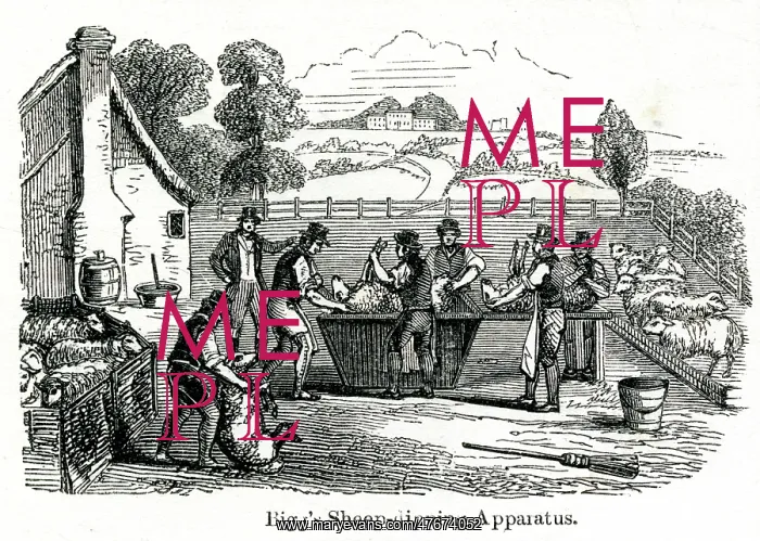 : Bigg's sheep-dipping apparatus 1851 : Bigg's sheep-dipping apparatus 1851