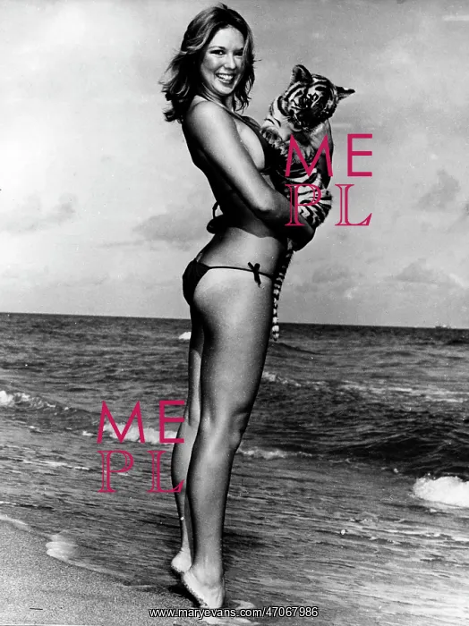 : Bikini Fashion Over the Decades : Bikini Fashion Over the Decades