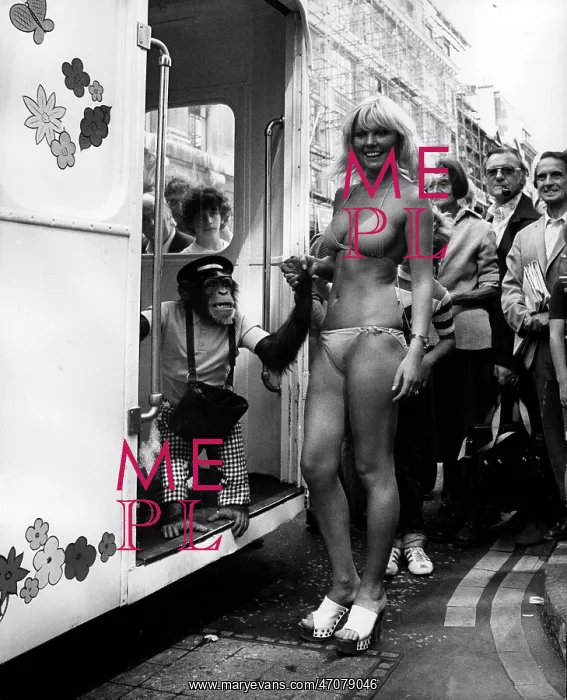 : Bikini Fashion Over the Decades : Bikini Fashion Over the Decades