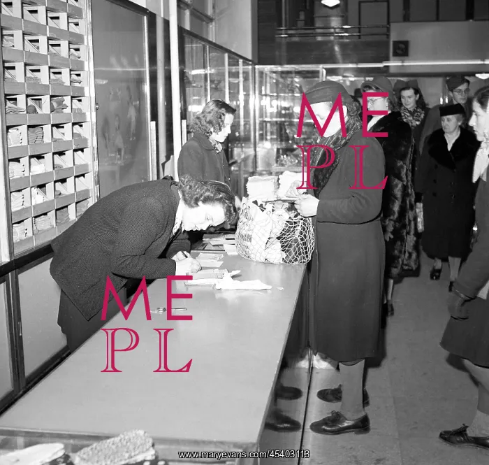  : Bila Labut - sale