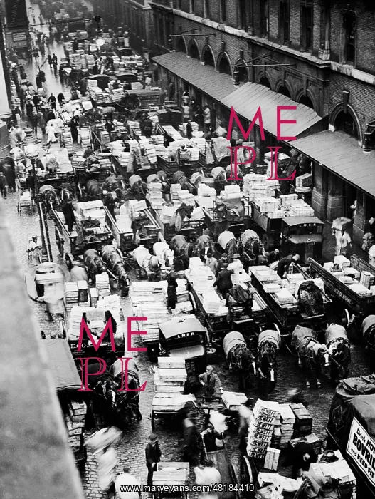 : Billingsgate Fish Market, 1937 : Billingsgate Fish Market, 1937