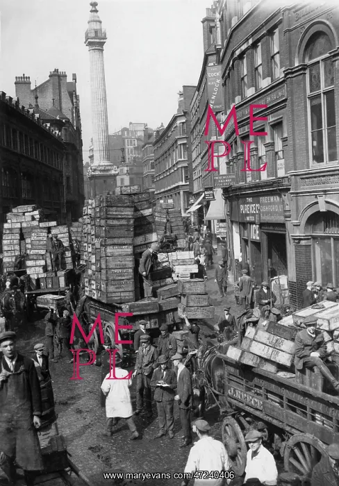: BILLINGSGATE MARKET 1920 : BILLINGSGATE MARKET 1920