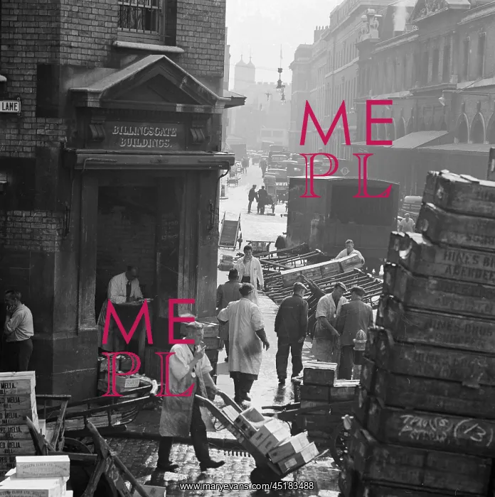 : Billingsgate Market : Billingsgate Market