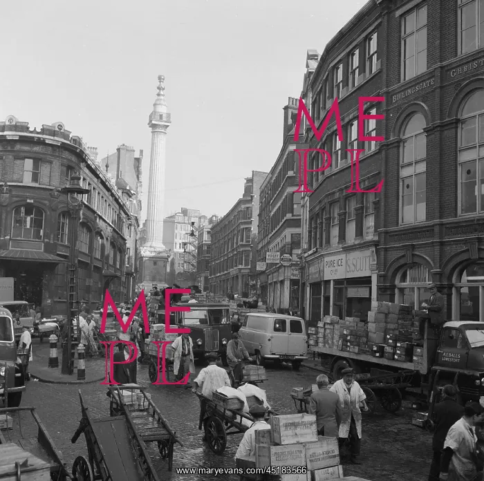 : Billingsgate Market : Billingsgate Market