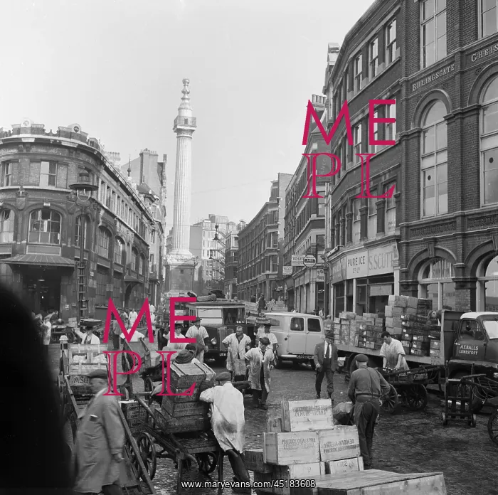 : Billingsgate Market : Billingsgate Market