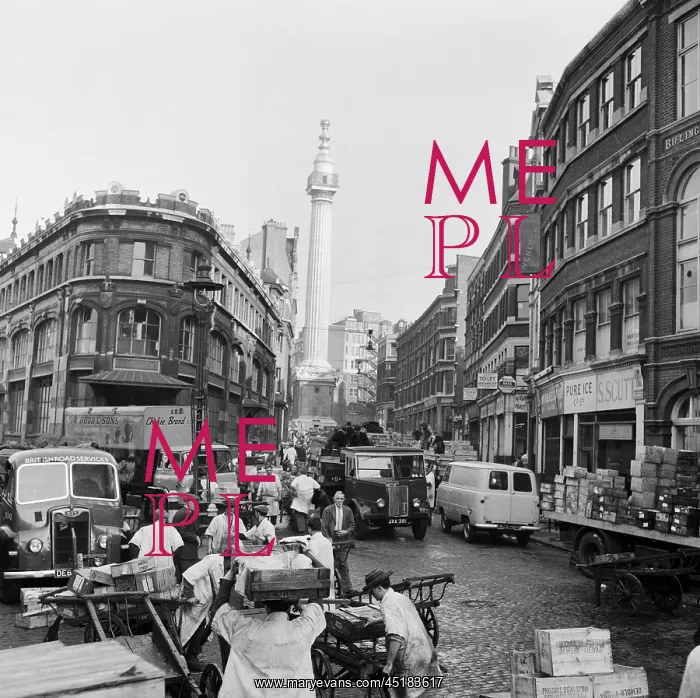 : Billingsgate Market : Billingsgate Market