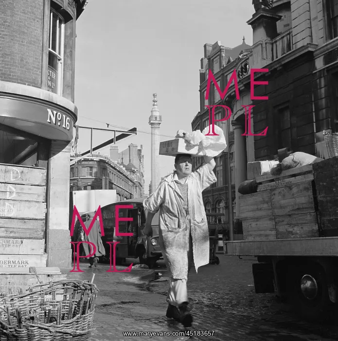 : Billingsgate Market : Billingsgate Market