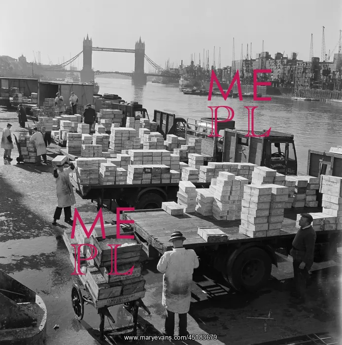: Billingsgate Market : Billingsgate Market