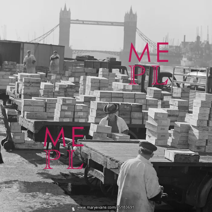 : Billingsgate Market : Billingsgate Market