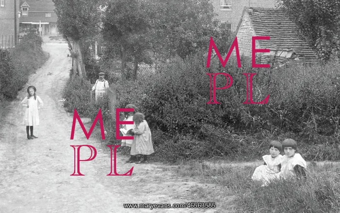  : Billingshurst, Children 1907