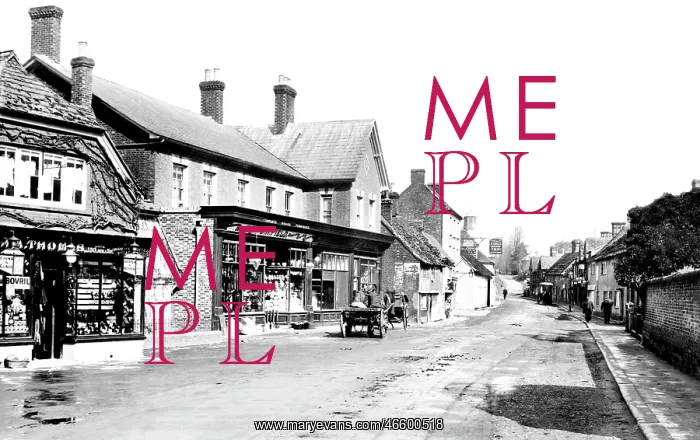  : Billingshurst, High Street 1909