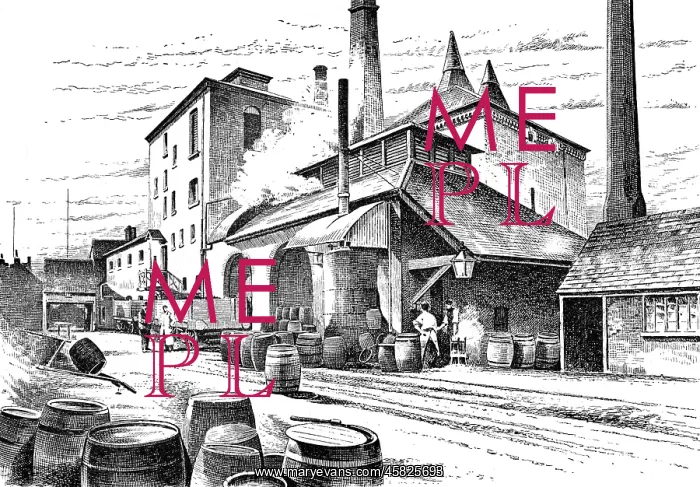  : Bindley's Brewery