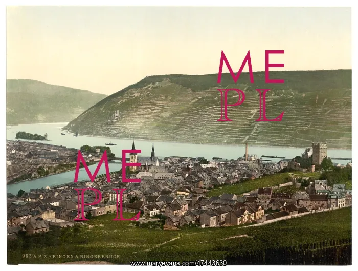 : Bingen and the bridge, the Rhine, Germany : Bingen and the bridge, the Rhine, Germany