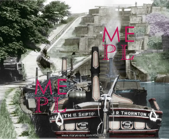  : Bingley, Five Rise Locks c1900