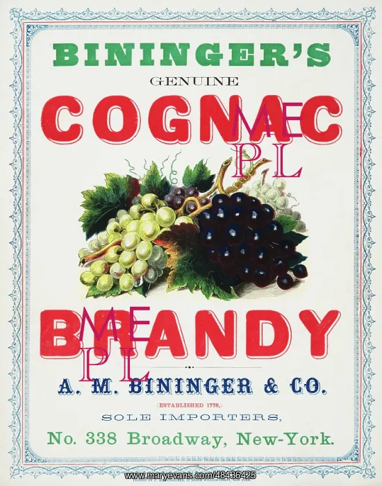 : Bininger's cognac brandy : Bininger's cognac brandy