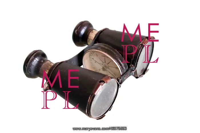 : Binoculars with built-in compass : Binoculars with built-in compass