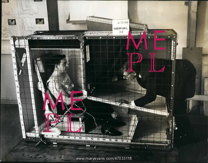 : Biomechanical experiment with restricted movement in cage : Biomechanical experiment with restricted movement in cage