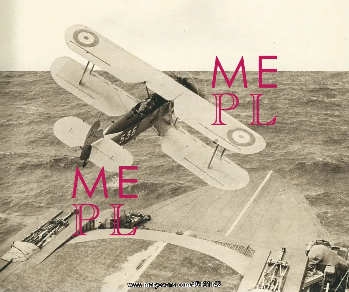 : Biplane Taking Off : Biplane Taking Off