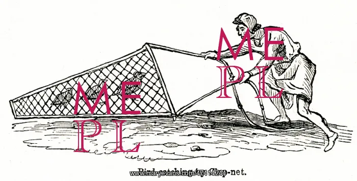  : Bird catching by clap-net