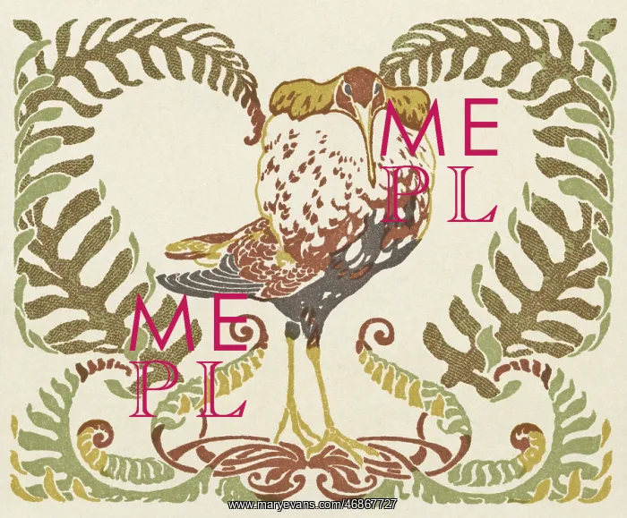  : Bird in a clump of ferns