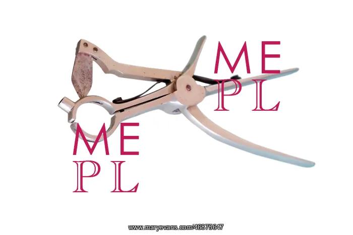  : Bird Culler
