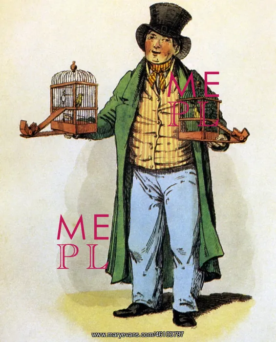 : Bird-dealer : Bird-dealer