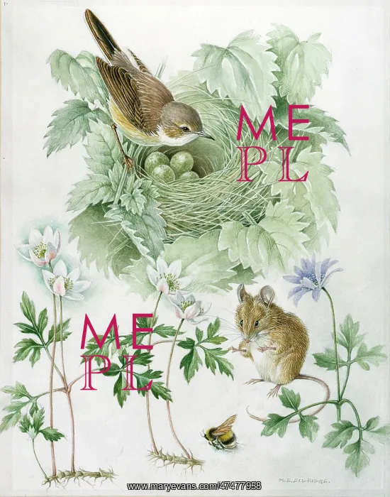 : Bird with eggs in nest, mouse and bee : Bird with eggs in nest, mouse and bee
