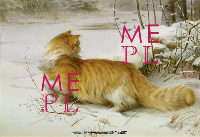 : The Bird Fancier ' ginger cat in snow : The Bird Fancier ' ginger cat in snow