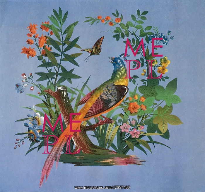 : Bird and Flowers