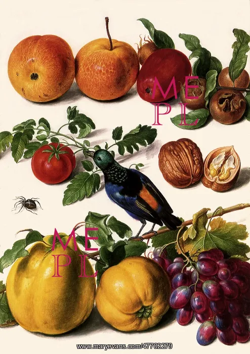  : Bird with Fruit and Nuts